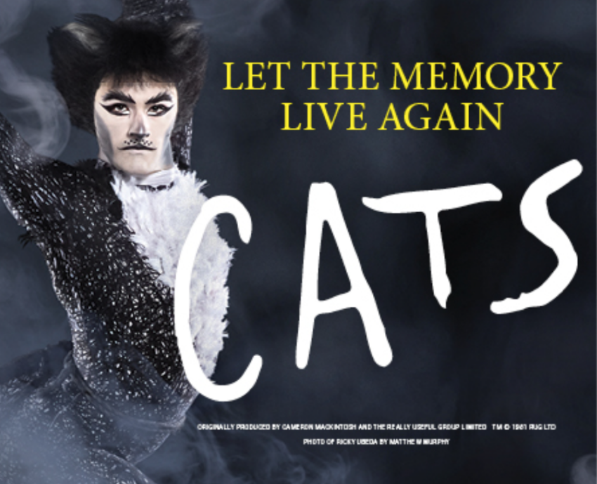 cats the musical poster