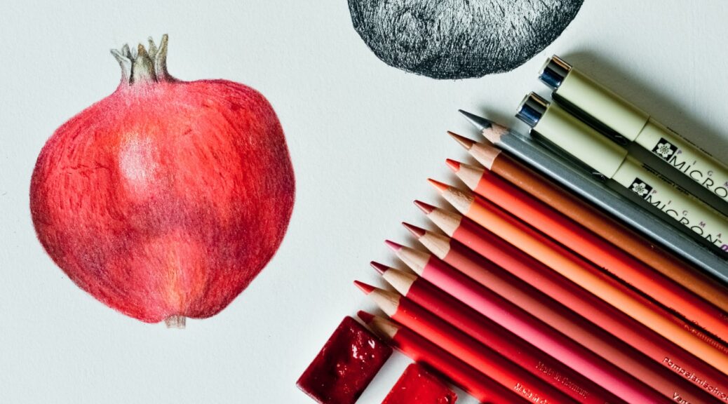drawing of fruit with colored pencils