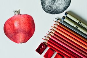 drawing of fruit with colored pencils