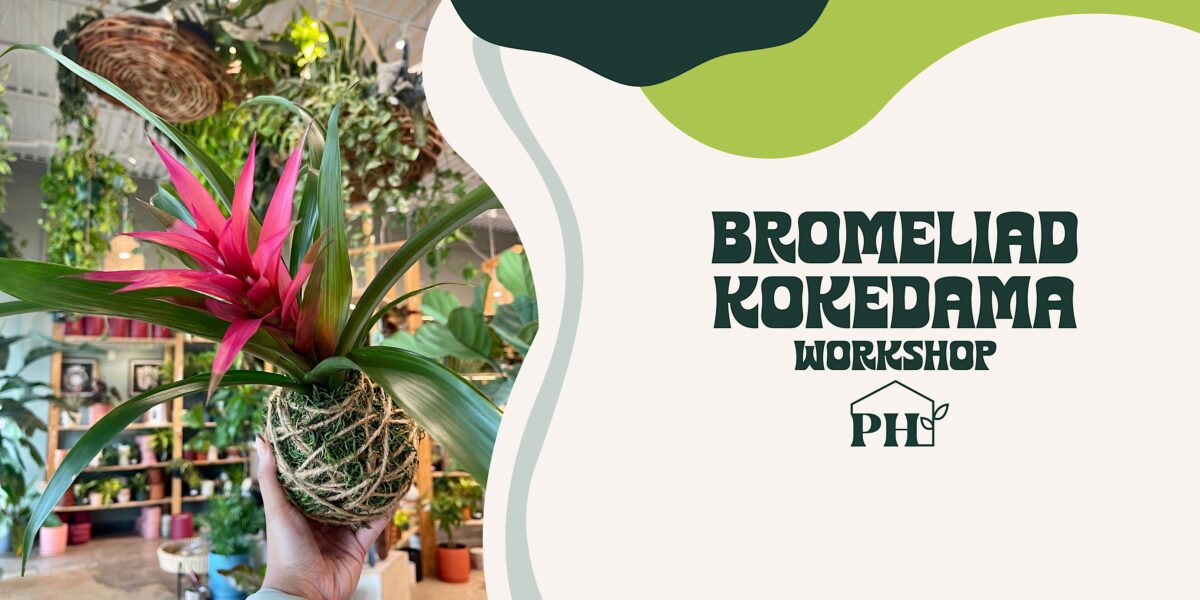 Bromeliad Kokedama Workshop