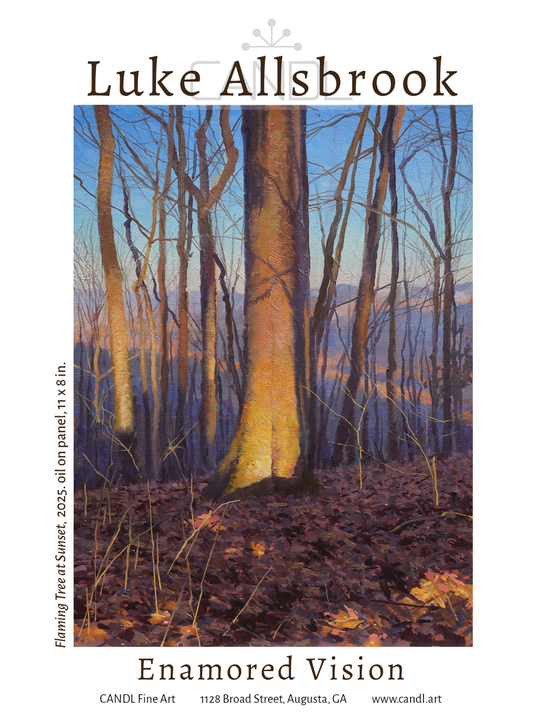 Luke Allsbrook: Enamored Vision