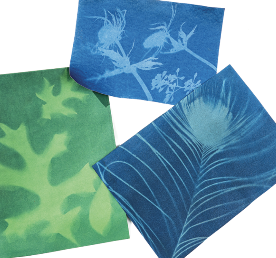 Artrageous! Family Sunday: The Morris Celebrates Earth Day!